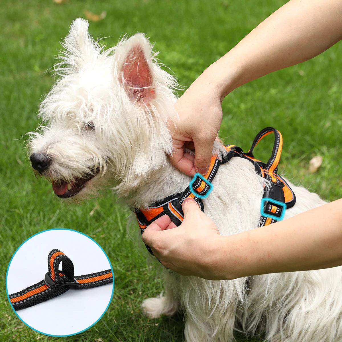 Henborn Adjustable Dog Harness | Reflective and Breathable | By Bark & Bones - Bark & Bones