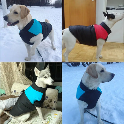 All-Weather Waterproof Dog Coat | Versatile and Cozy for Every Breed and Size