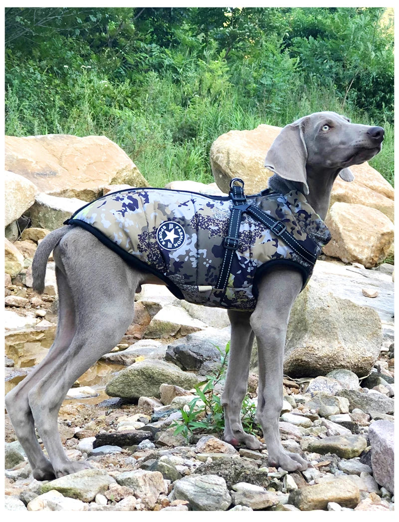 Camouflage Waterproof Dog Jacket with Integrated Harness | Stylish and Warm Winter Coat