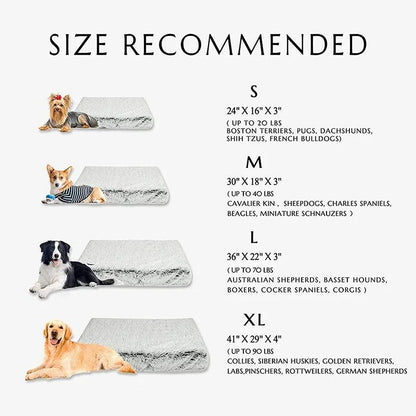 Small to Extra Large Orthopedic Dog Bed | Orthopedic Support For Dogs | By Bark & Bone - Bark & Bones