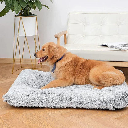 Small to Extra Large Orthopedic Dog Bed | Orthopedic Support For Dogs | By Bark & Bone - Bark & Bones