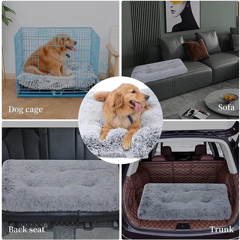 Small to Extra Large Orthopedic Dog Bed | Orthopedic Support For Dogs | By Bark & Bone - Bark & Bones