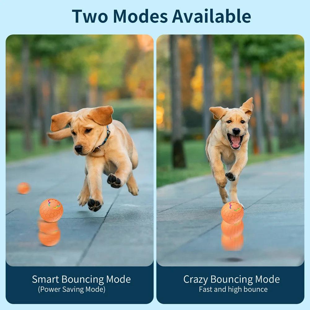 Rechargeable Automatic Rolling Ball With 2 Modes Motion Activated | Dog and Cat Toy - Bark & Bones