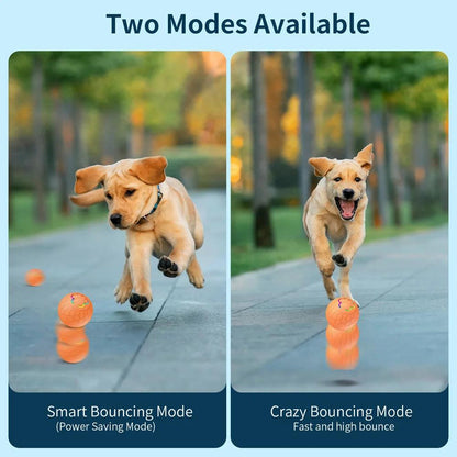 Rechargeable Automatic Rolling Ball With 2 Modes Motion Activated | Dog and Cat Toy - Bark & Bones