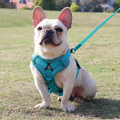 Adjustable Dog Harness with Lead | Elegant and Affordable Design by Bark & Bones - Bark & Bones