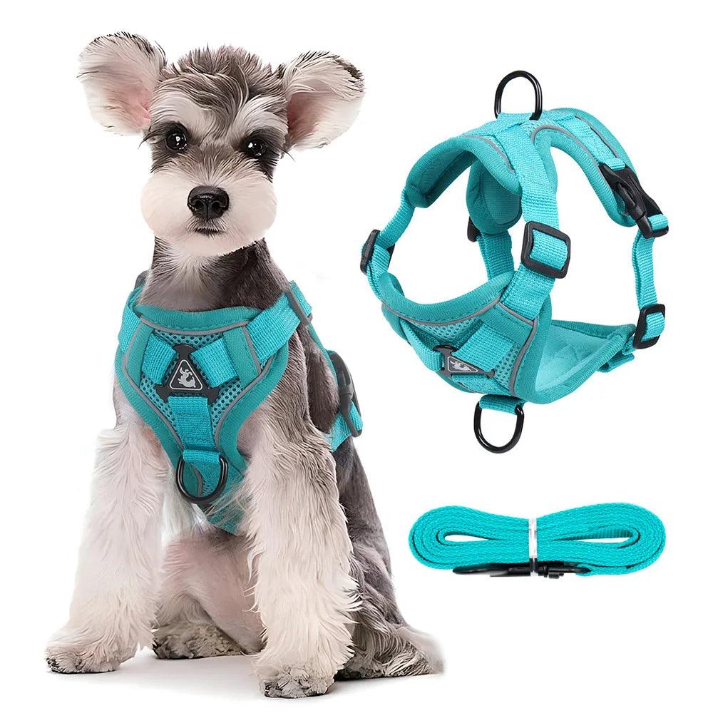 Adjustable Dog Harness with Lead | Elegant and Affordable Design by Bark & Bones - Bark & Bones