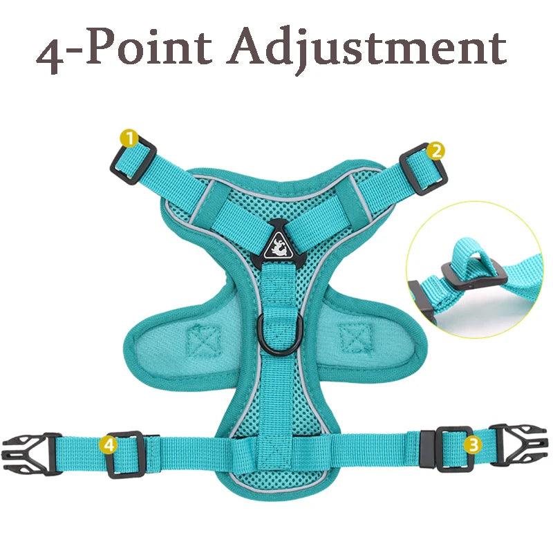 Adjustable Dog Harness with Lead | Elegant and Affordable Design by Bark & Bones - Bark & Bones